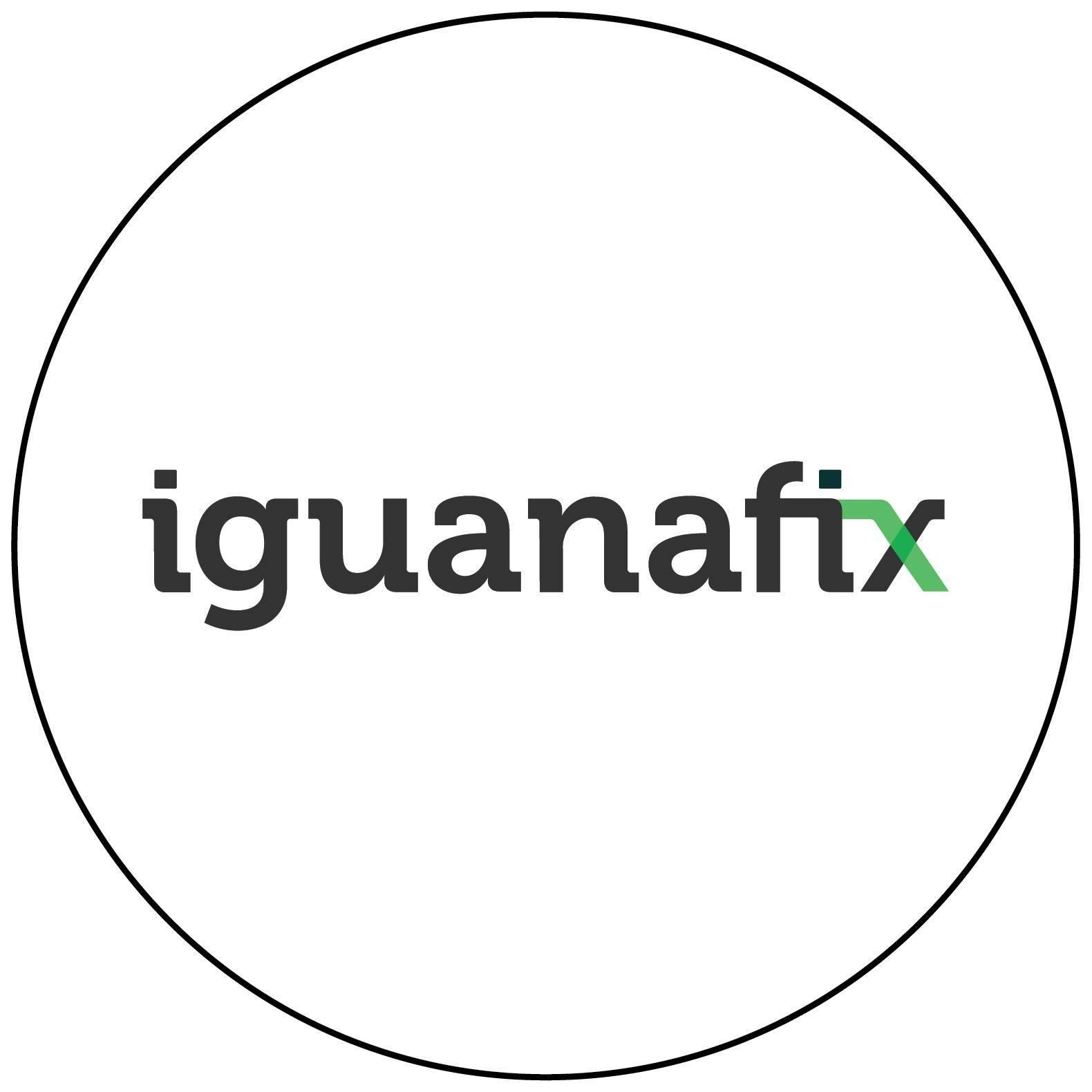 Logo da emrpesa IguanaFix